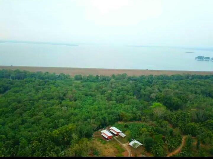 Nil Bawana Nature Resort Udawalawe Ngoại thất bức ảnh