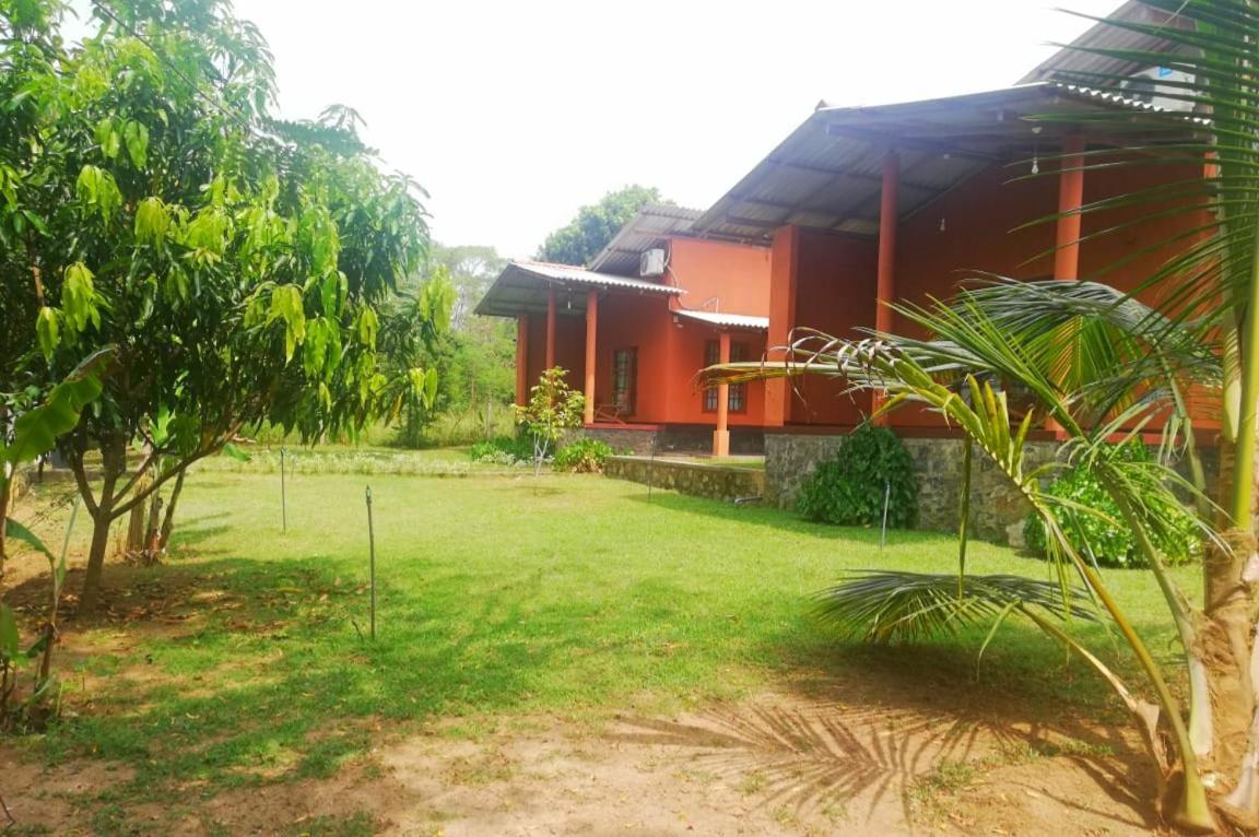 Nil Bawana Nature Resort Udawalawe Ngoại thất bức ảnh