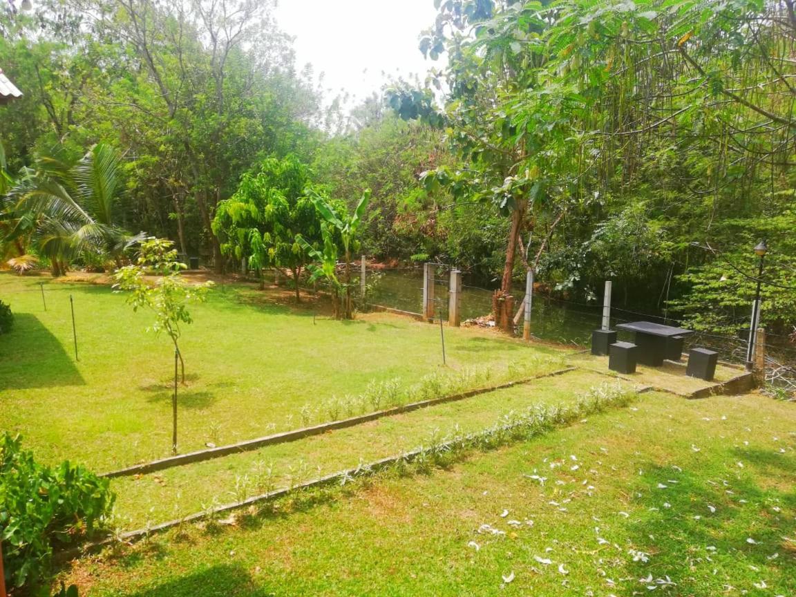 Nil Bawana Nature Resort Udawalawe Ngoại thất bức ảnh