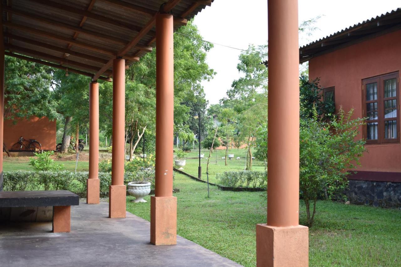 Nil Bawana Nature Resort Udawalawe Ngoại thất bức ảnh