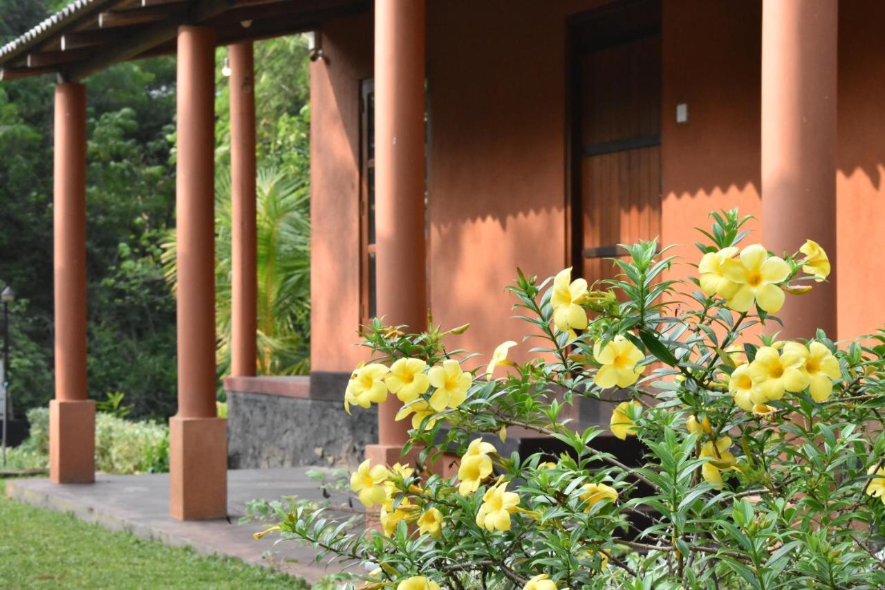 Nil Bawana Nature Resort Udawalawe Ngoại thất bức ảnh