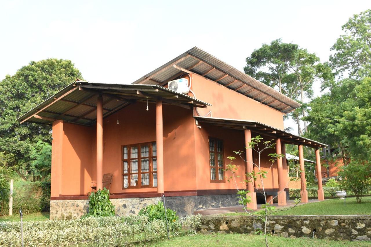 Nil Bawana Nature Resort Udawalawe Ngoại thất bức ảnh